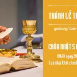 Thánh lễ trực tuyến Chúa nhật 5 Mùa Chay năm A tại nhà thờ chính tòa Xã Đoài – Giáo phận Vinh