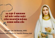 20 gợi ý nhanh để bắt đầu việc cầu nguyện bằng kinh Mân Côi