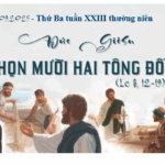 Được chọn và được sai đi