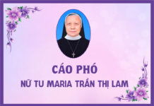 Cáo phó: Nữ tu Maria Trần Thị Lam (Cộng đoàn Trang Nứa – Hội dòng Mến Thánh Giá Vinh)